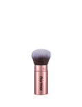 Portable Brush